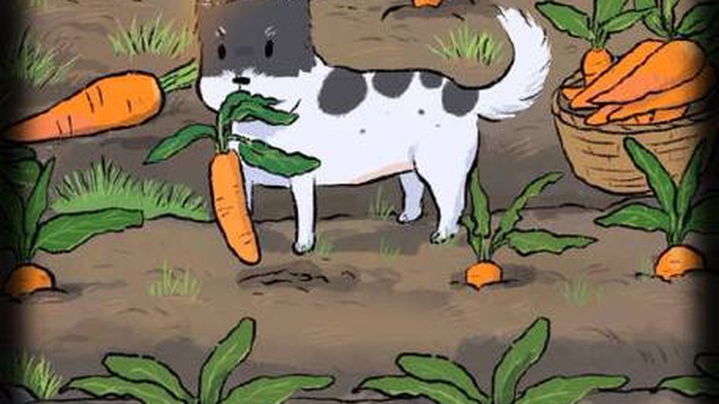 51吃瓜网平台内容特征与访问安全风险分析